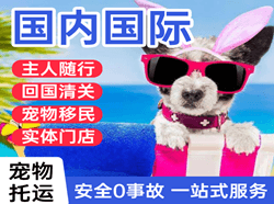 东阳横店机场邮寄国际宠物托运 【国